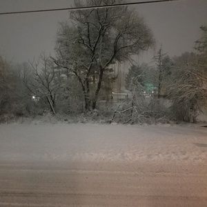 Meet your Posher, Sandy